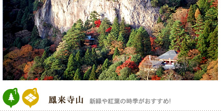 鳳来寺山 新緑や紅葉の時季がおすすめ！